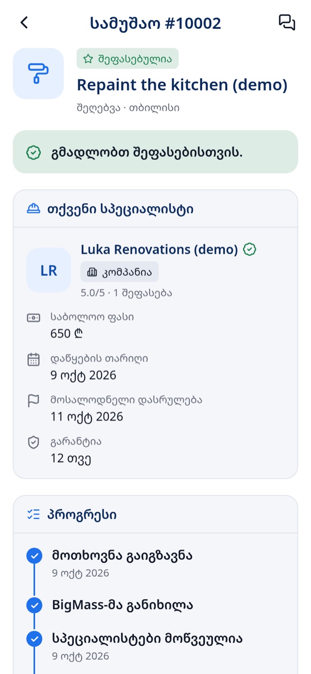პროექტის მიმდინარეობა